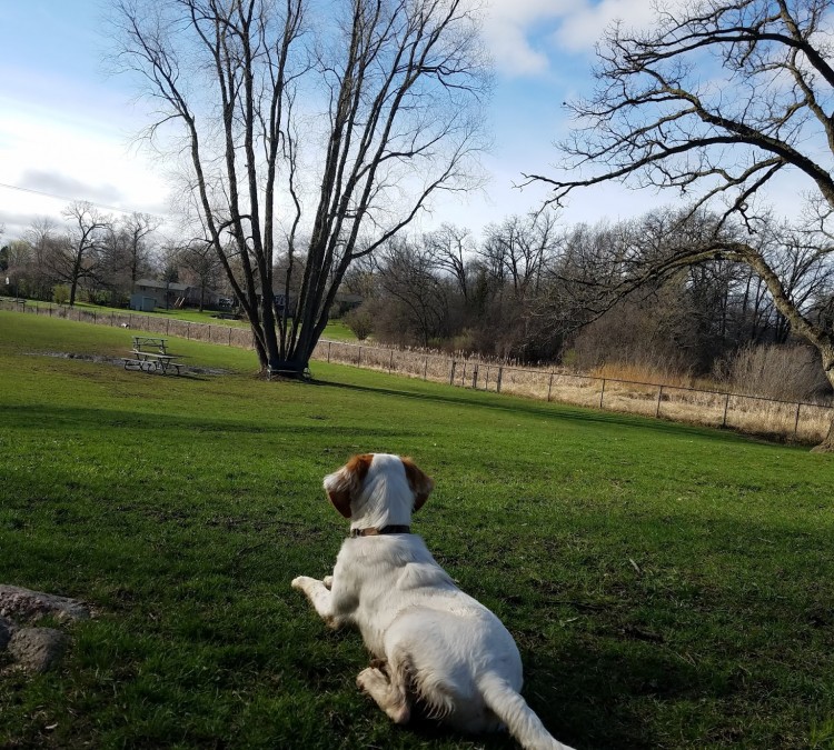 Monticello Dog Park (Monticello,&nbspMN)